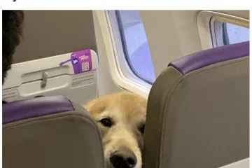 Screenshot 2025 03 15 At 4.03.27 Pm